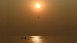 Unusual Sept heat is causing Jayakwadi dam to lose an average 1.3: The wider industry impact