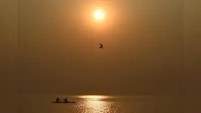 Unusual Sept heat is causing Jayakwadi dam to lose an average 1.3: The wider industry impact