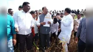 All hands on deck as drought grips 75% of Maharashtra