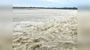 crops submerge — Overflow at Sharda, Ghaghara and Mohana affect people