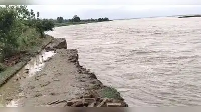 crops submerge — Overflow at Sharda, Ghaghara and Mohana affect people