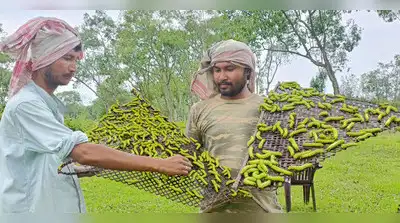 Progressive, successful farmers to motivate others — Raitha Dasara