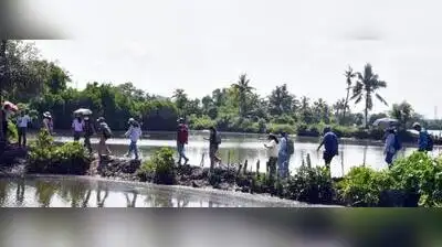 CMFRI backwater cruise takes participants through Vembanad's: The wider industry impact