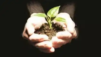 Chennai: Chinmaya Vidyalaya, Taylors Road, has launched an initiative to plant and nurture