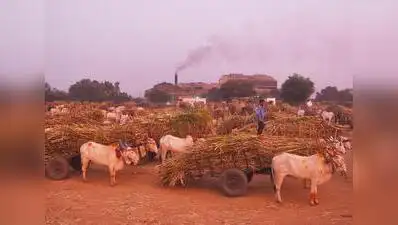 30 Maha sugar mills owe Rs 194 crore in FRP dues; 15 confronts: The wider industry impact
