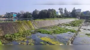 Chennai: Check dams across the Cooum basin could serve as strategic: The wider industry impact