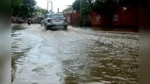 Kanpur Nagar recorded 175 mm of rainfall in the 24 hours preceding: The wider industry impact