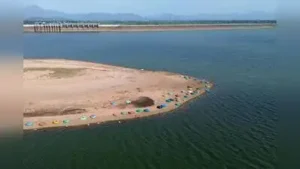 Meanwhile, water levels in the Vaigai and Mullaperiyar reservoirs: The wider industry impact