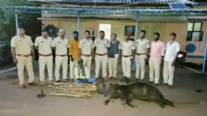 Foresters arrest farmer in bear electrocution case
