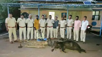 Foresters arrest farmer in bear electrocution case
