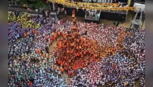 Mumbai: Dahi handi celebrations on Saturday appear to be subdued as compared to last year, say