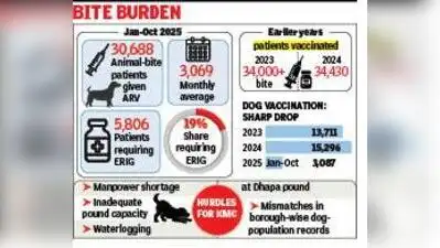 Kolkata: More than 30,000 animal-bite patients sought anti-rabies: The wider industry impact