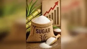 Albeit retail rates of sugar have dropped by Rs 10/kg from Rs 75: The wider industry impact