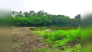 Volunteers observed rainwater cascading down the hills: The wider industry impact
