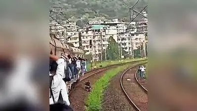 Thane: A woman fell from a packed suburban local when it halted between Diva and Mumbra