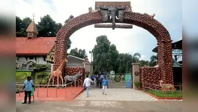 Kolkata: A four-and-a-half-year-old lioness died at Alipore zoo on Monday morning, with sources