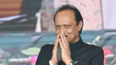 Ajit Pawar Dead In Baramati Plane Crash During Emergency Landing: The wider industry impact