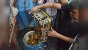 Kolkata: The raid on restaurants across Kolkata and beyond has led National Restaurants’