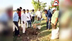 Saplings planted to enhance green cover in Madurai city: The wider industry impact