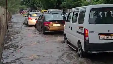 Heavy rain likely today, tomorrow: The wider industry impact