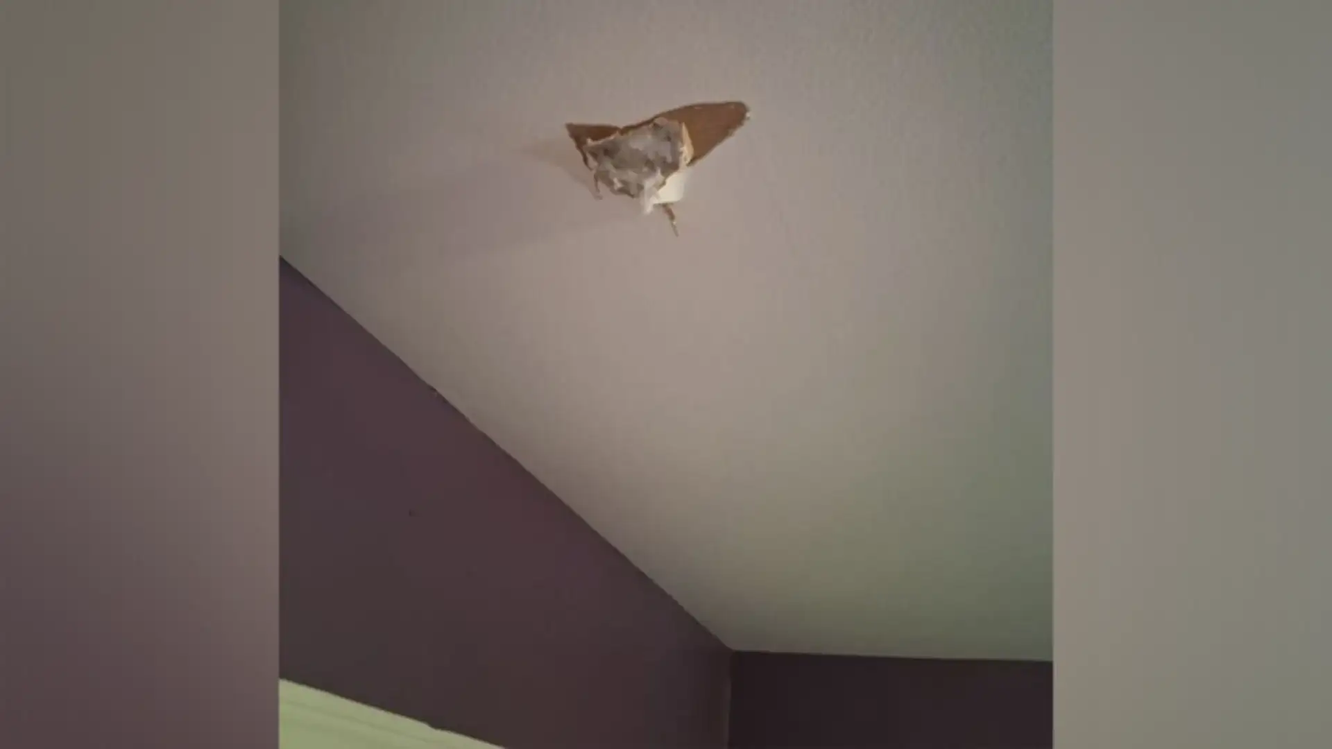 Texas meteor sighting: Houston woman claims space rock crashed: The wider industry impact