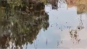 Pipeline leak disrupts water supply to 230 villages near Madurai: The wider industry impact