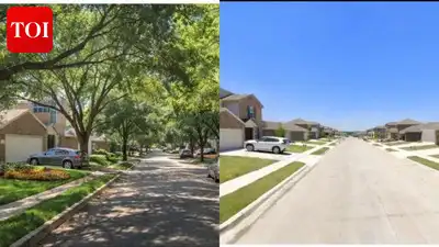 However, for a builder, cutting down all these trees saves them roughly $5,000 per lot