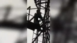 Man climbs mobile tower demanding permission to marry GF