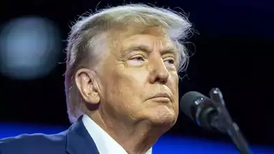Yankee Doodle's poodles go noodles! — Trumpiana