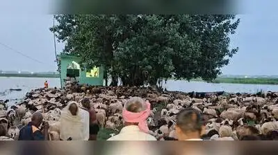 Ghazipur SP Iraj Raja said on Monday that an alert was received around 11 pm that several