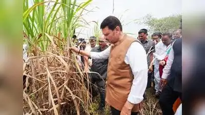 CM Devendra Fadnavis inspecting crop damage during his visit to Dharashiv on Wednesday