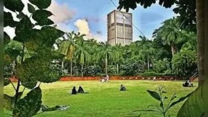 Mumbai: The Brihanmumbai Municipal Corporation (BMC) will carry out: The wider industry impact