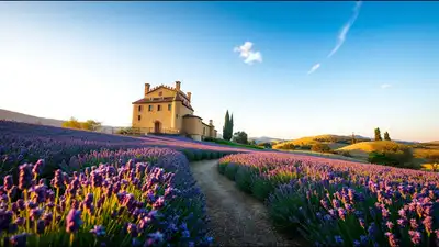 In 2017, George Lucas bought a 115-hectare French château; he later: The wider industry impact
