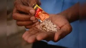 Gujarat extends ban on gutka, pan masala for another year: The wider industry impact