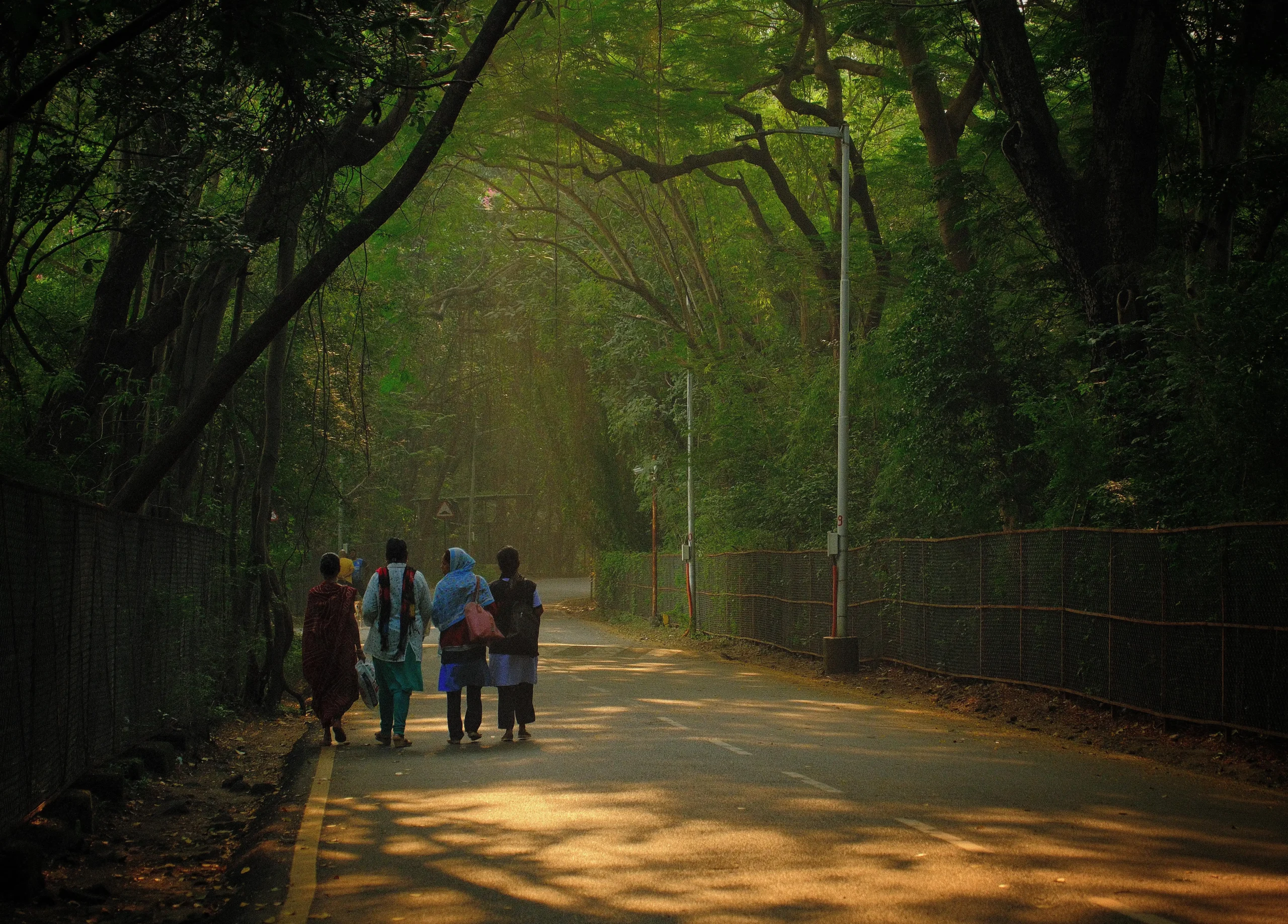 A smart student from rural school found a perfect match: The wider industry impact