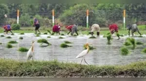 Mali said govt had acted promptly after considering the farmers’ representations