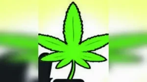 Hemambika Nagar Police on Thursday arrested six Odisha natives and seized 53kg of ganja