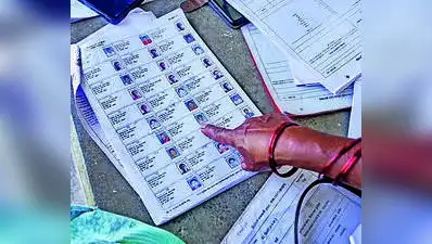 Sheetal Teli-Ugale, the Pune divisional commissioner designated as the 'Electoral Roll