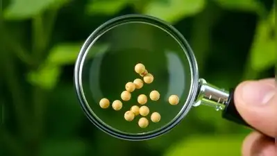 A firm cannot sell last year’s seeds without revalidation