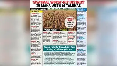 Nagpur : Vidarbha accounts for 95 of 265 talukas that were declared: The wider industry impact