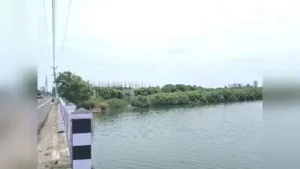 Chengalpet district forest officer Girish Haribhau said that constructions along mangrove
