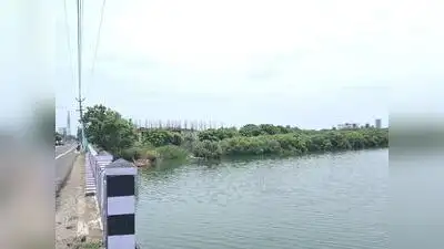Chengalpet district forest officer Girish Haribhau said that constructions along mangrove