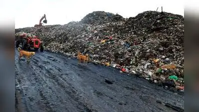 BMC to deploy 2 more unmanned boats to clear floating waste at Sassoon Dock in Mumbai