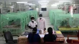Chennai: Tamil Nadu has recorded 16,334 dengue cases and nine deaths: The wider industry impact
