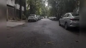 When her companion objected to such driving, the vehicle was reportedly stopped and three