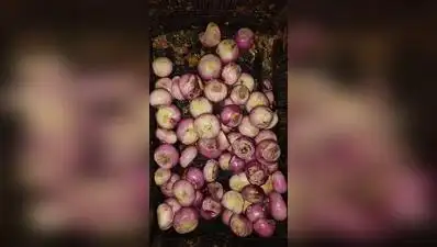 Officials found 40kg of expired chilli stored as a food product