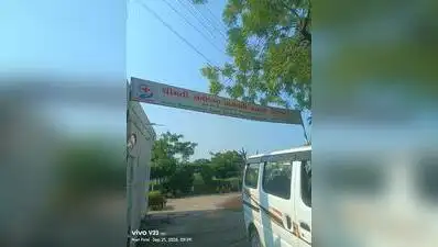 Birds rescued after nine trees were cut down in Dhokla, Ahmedabad