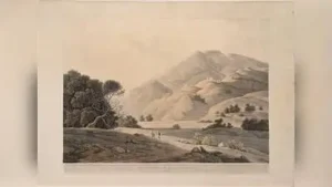 Two rare Pyne works also drew attention