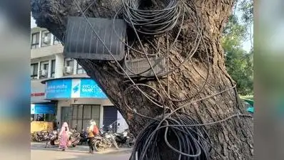 With Tambaram corporation comprising five zones and 70 wards: The wider industry impact