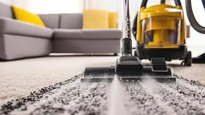 Carpets can make a room feel warm and comfortable, but they also collect dust, crumbs, stains